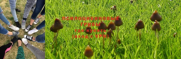 гашик Алзамай