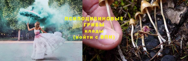 гашик Алзамай