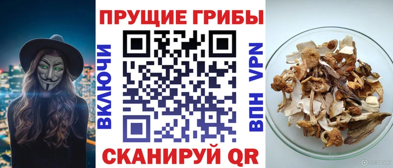 Псилоцибиновые грибы Psilocybe  Новая Ляля 